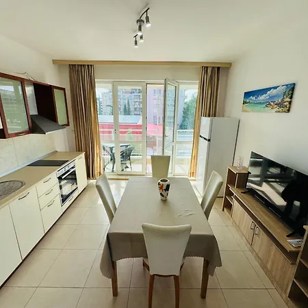 アパート Sunny House 201 One Bedroom *